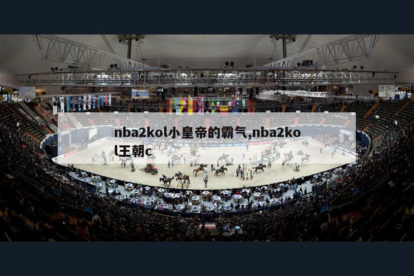 nba2kol小皇帝的霸气,nba2kol王朝c