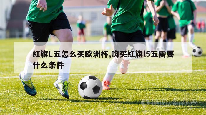 红旗L五怎么买欧洲杯,购买红旗l5五需要什么条件